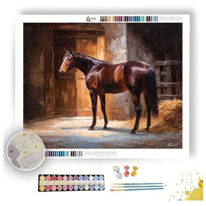 GROOMING AT STABLE - Paint by Numbers Full Kit