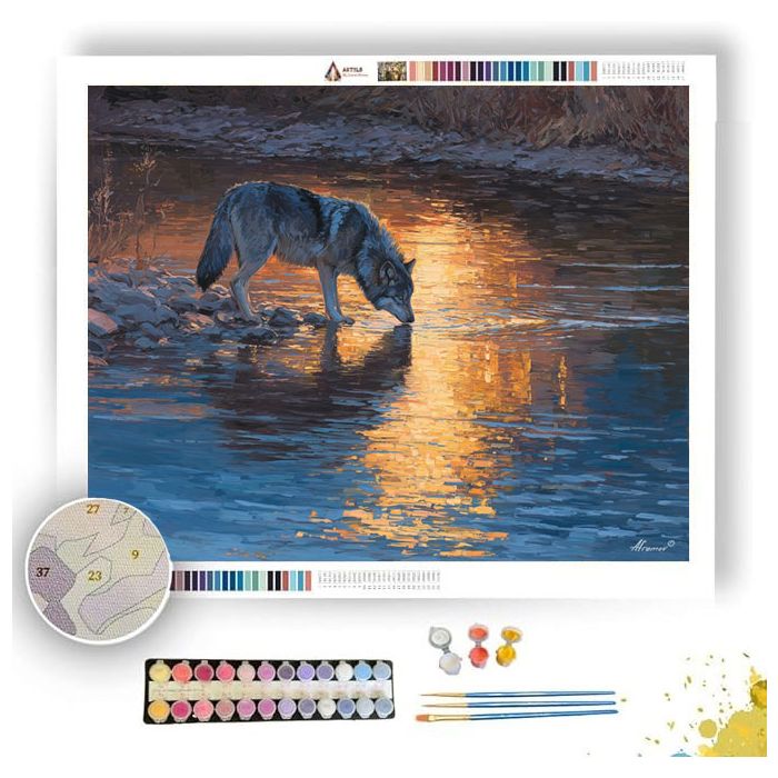 RIVER REFLECTION WOLF - Paint by Numbers Full Kit