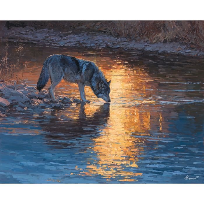 RIVER REFLECTION WOLF