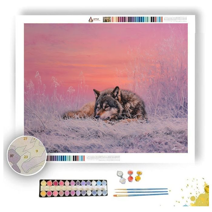 WINTER MEADOW SILENCE - Paint by Numbers Full Kit