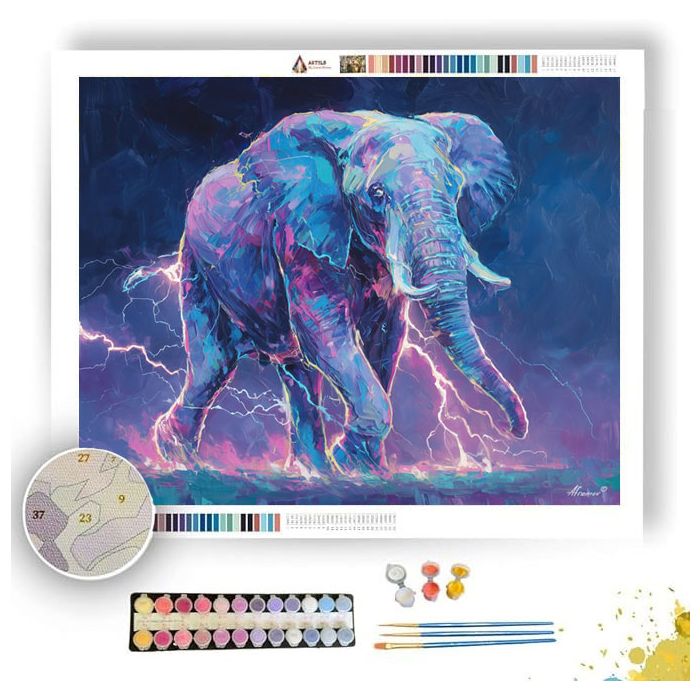 ELECTRIC SKY ELEPHANT - Paint by Numbers Full Kit