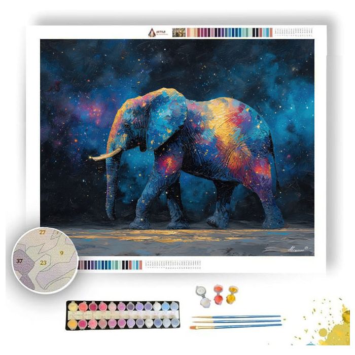 COSMIC WANDERER - Paint by Numbers Full Kit