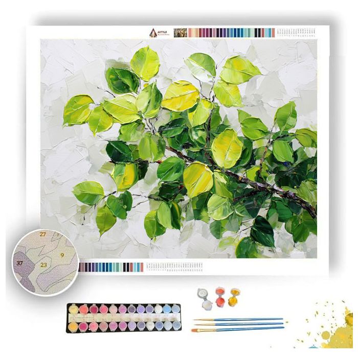 LIME GREEN SPRINGWOOD - Paint by Numbers Full Kit