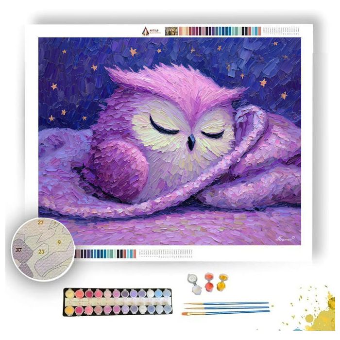 KAWAII OWL SLEEPING WITH BLANKET - Paint by Numbers Full Kit