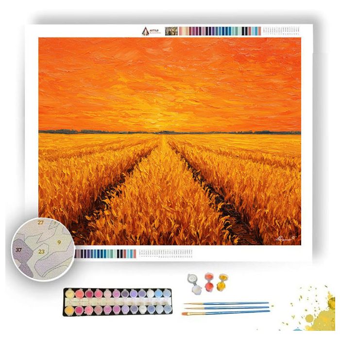 GOLDEN CORNFIELD MIDWEST SUNRISE - Paint by Numbers Full Kit