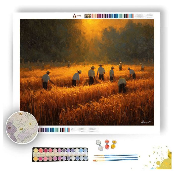 GOLDEN HARVEST FIELD - Paint by Numbers Full Kit