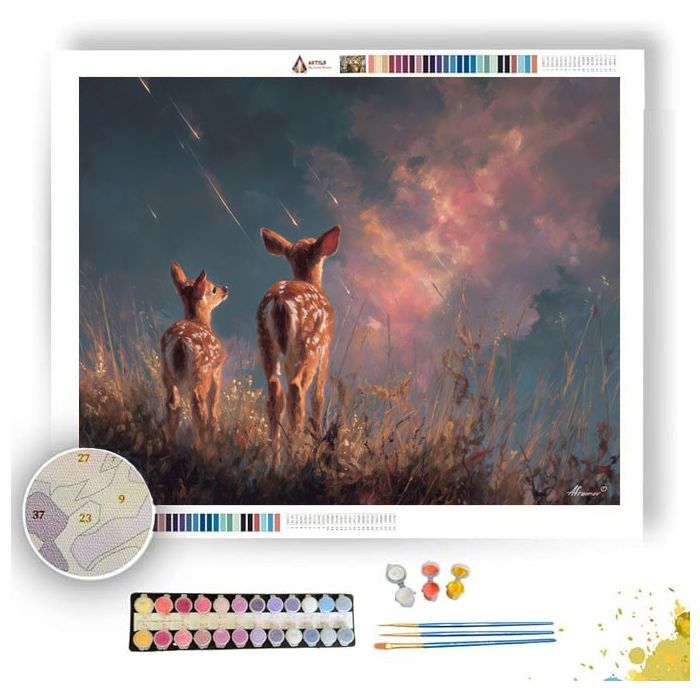 STARGAZING FAWNS - Paint by Numbers Full Kit
