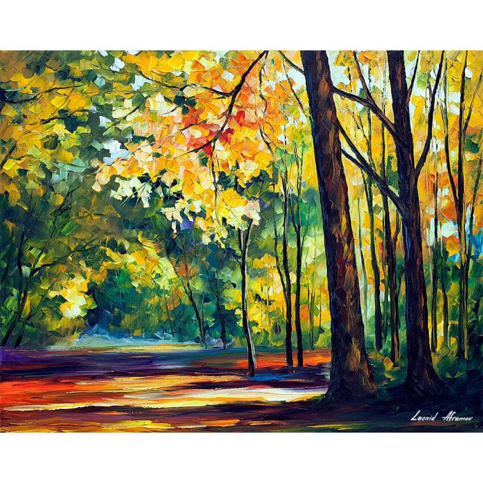 MORNING FOREST LIGHT