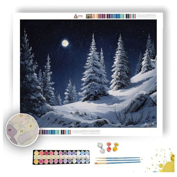SILENT SNOWFALL - Paint by Numbers Full Kit