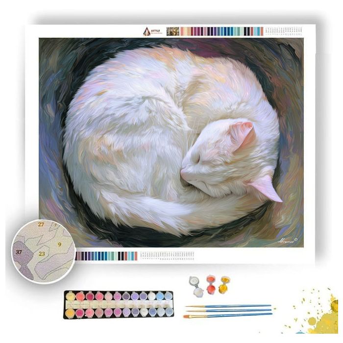 DOODLE CAT NAP - Paint by Numbers Full Kit