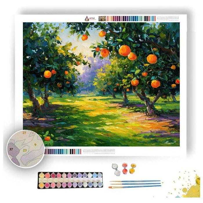 ORANGE GROVE MORNINGS - Paint by Numbers Full Kit