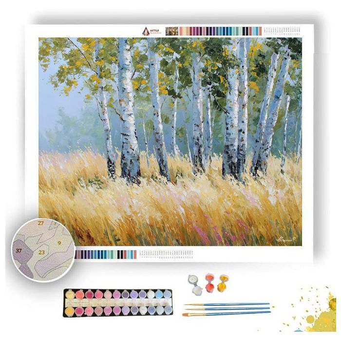 BIRCH TREES OF SILVER MORNING - Paint by Numbers Full Kit