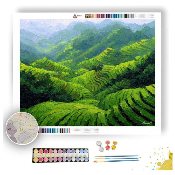 CLOUD TEA FIELDS OF HANGZHOU - Paint by Numbers Full Kit