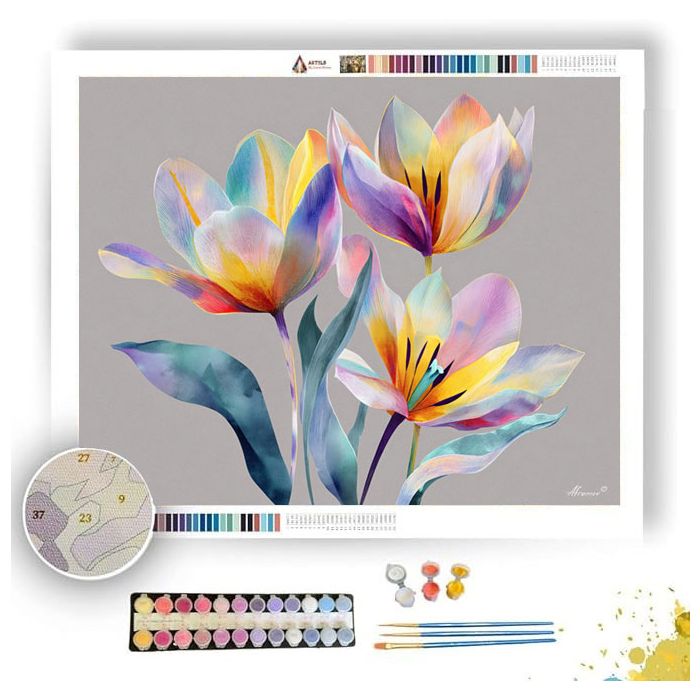 PASTEL TULIP - Paint by Numbers Full Kit