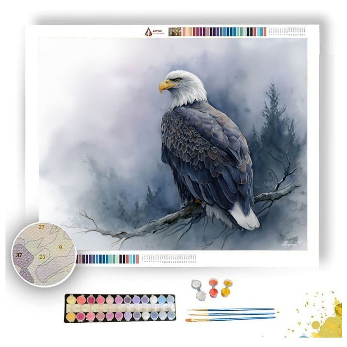 STORMY EAGLE - Paint by Numbers Full Kit