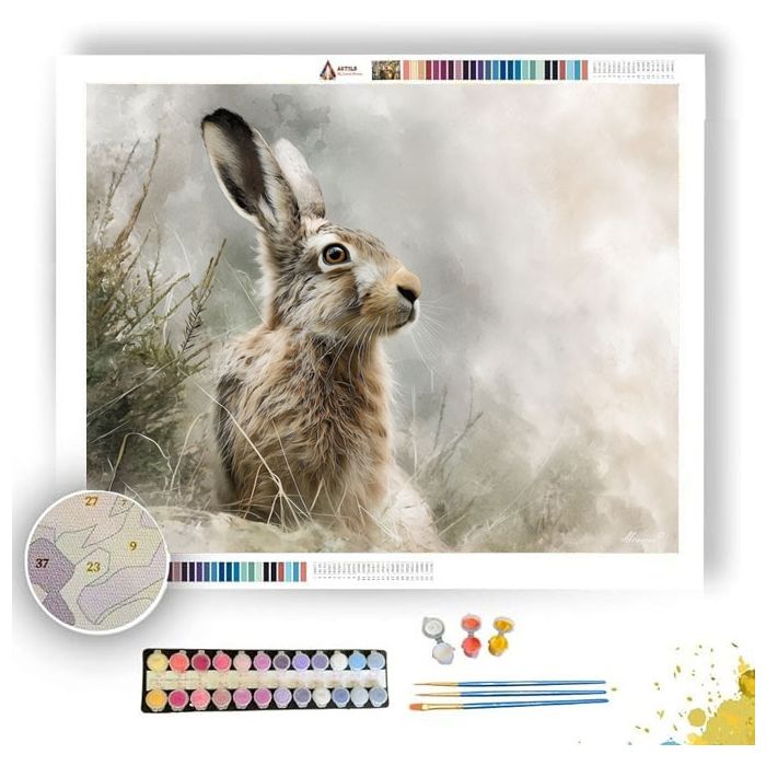 GENTLE HARE - Paint by Numbers Full Kit