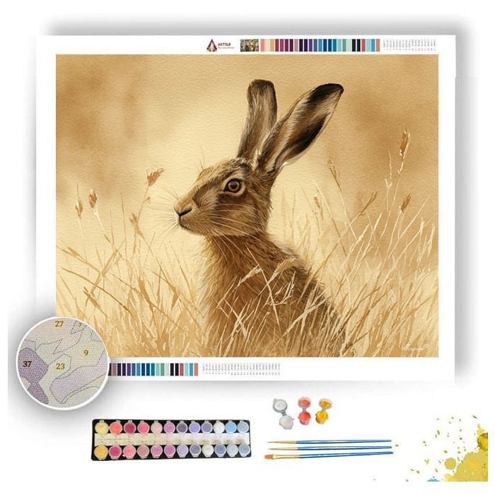 AMBER HARE - Paint by Numbers Full Kit
