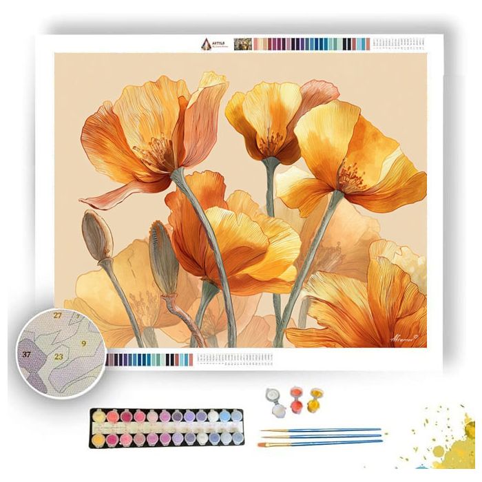 AMBER POPPY - Paint by Numbers Full Kit