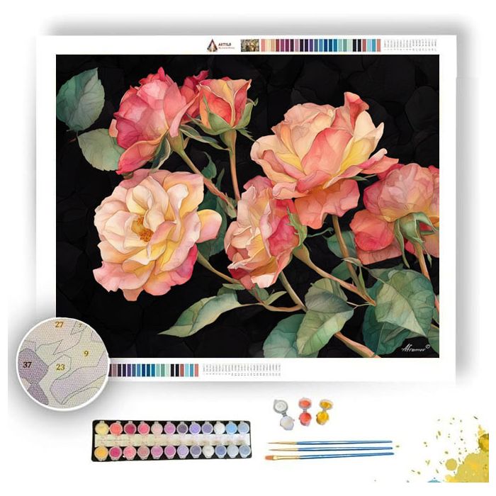EVENING ROSE - Paint by Numbers Full Kit