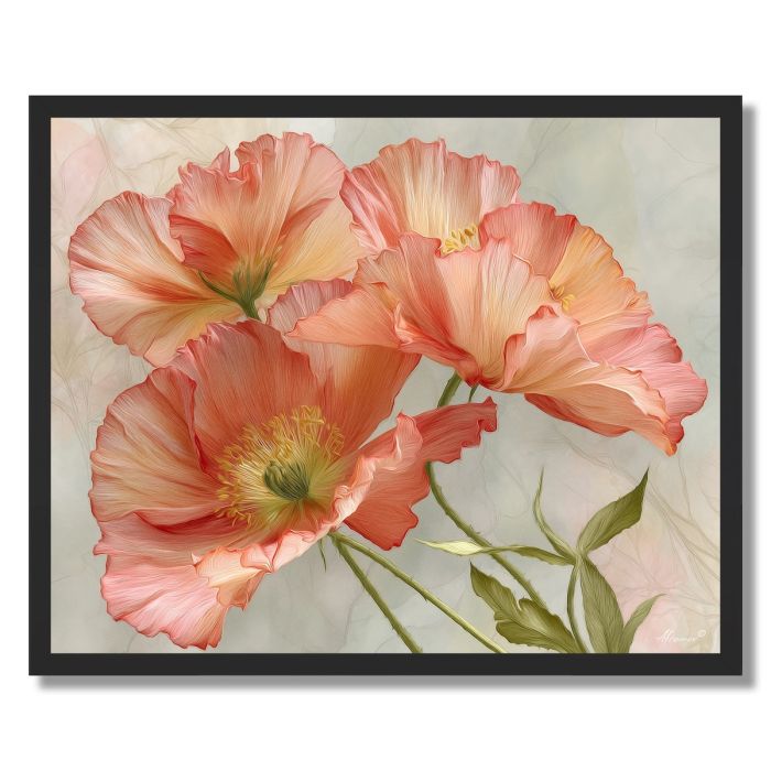 BLOSSOMING POPPY - FRAMED