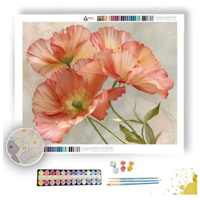 BLOSSOMING POPPY - Paint by Numbers Full Kit