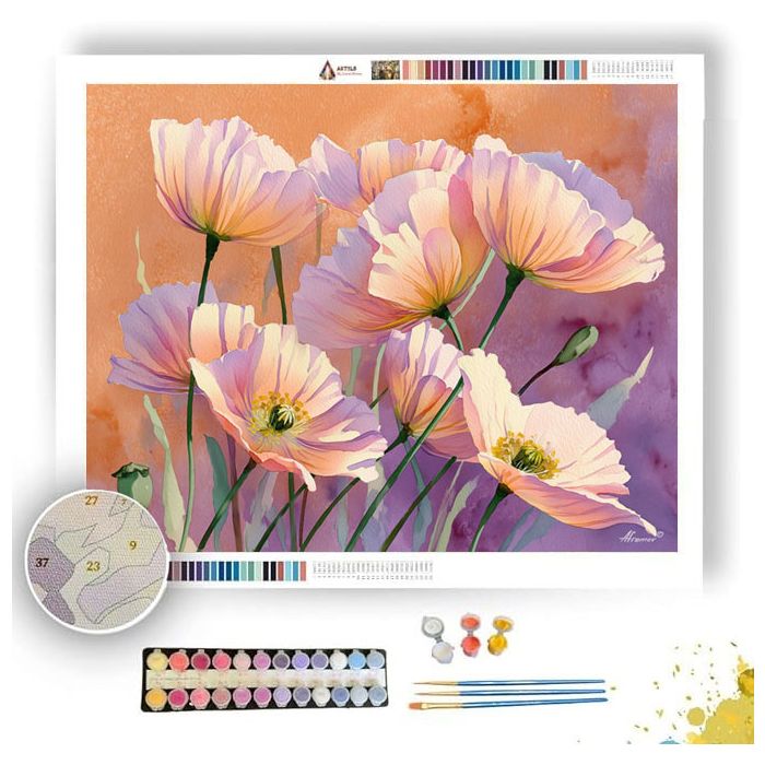 PASTEL POPPY - Paint by Numbers Full Kit
