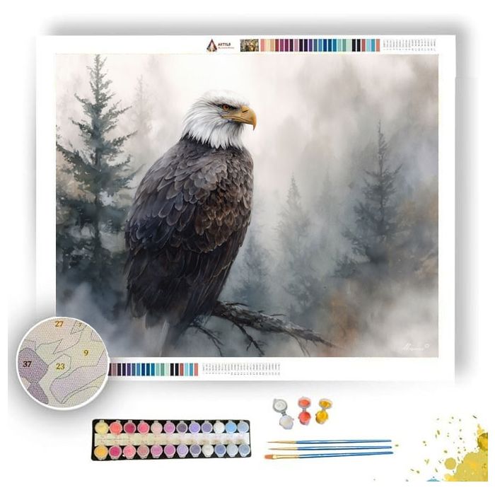 MISTY EAGLE - Paint by Numbers Full Kit
