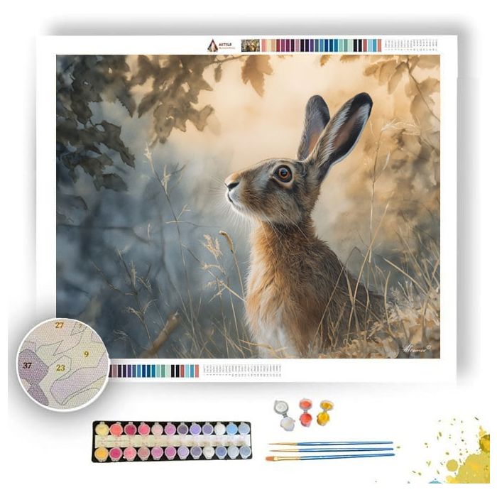SILENT HARE - Paint by Numbers Full Kit