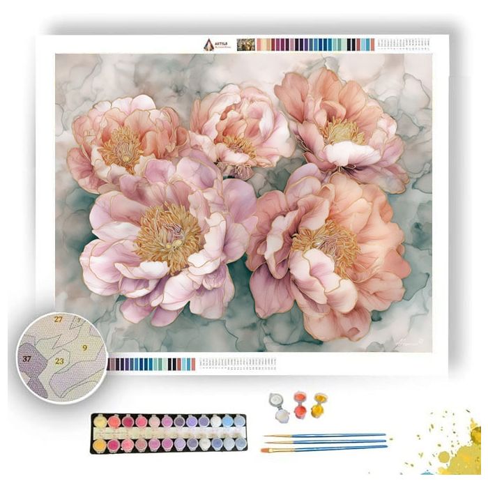 SOFT PEONY - Paint by Numbers Full Kit