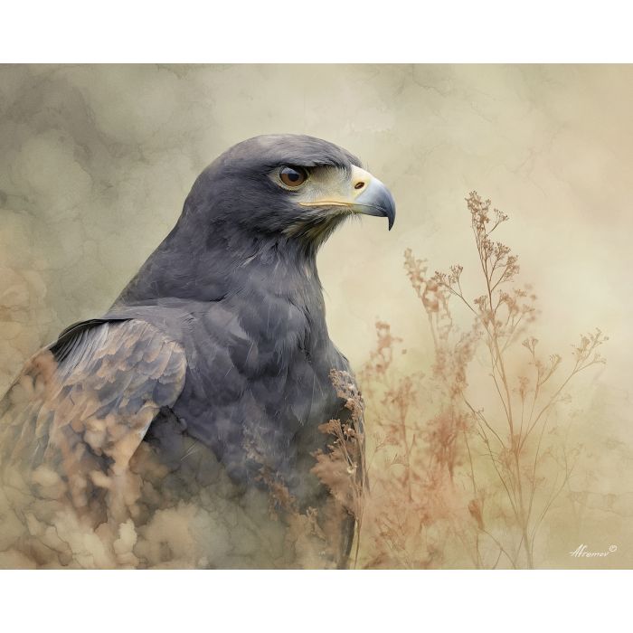 a, dusky, eagle, in, a, natural, setting, painted, soft washes, pastel hues, natural flow, gentle gradients, atmospheric depth, textural blending, organic motion, diffused light, fine pigments, layered tones