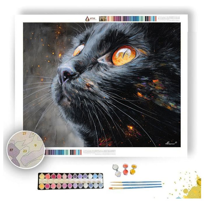 SECRET LANTERN VELVET - Paint by Numbers Full Kit