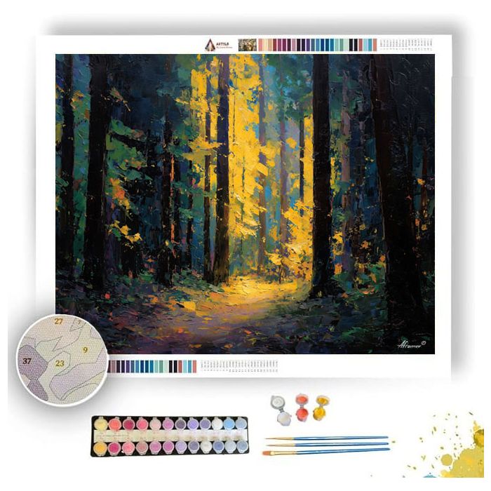 LUMINOUS FRAGMENTS FADING - Paint by Numbers Full Kit