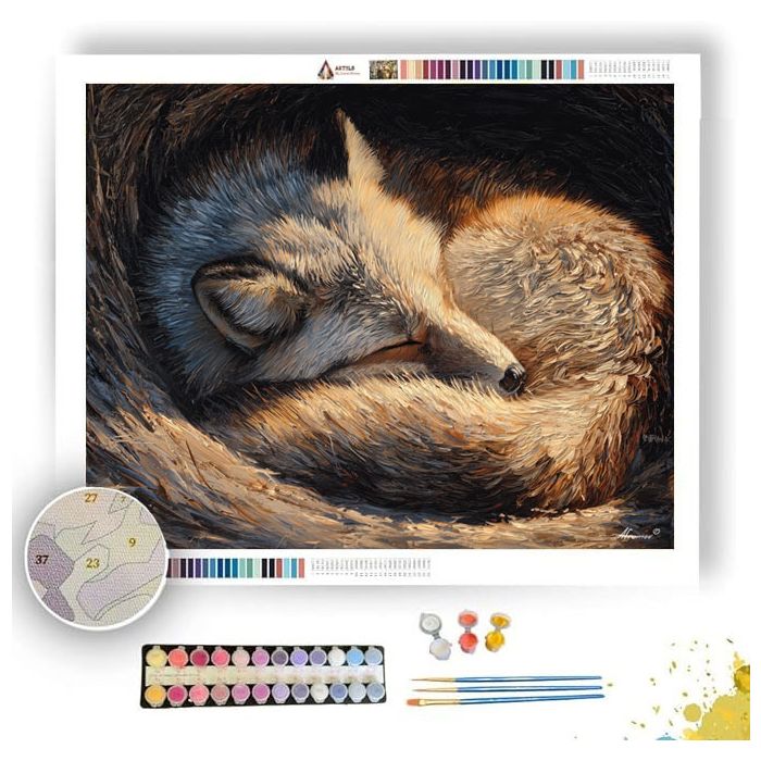 AUREFALL SHELTER TRACE - Paint by Numbers Full Kit