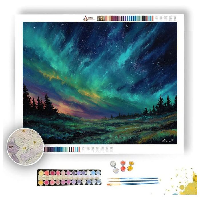 AURORA FIELDS - Paint by Numbers Full Kit