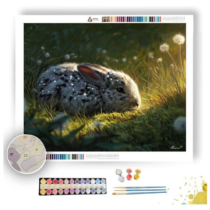 STAR FUR RABBIT - Paint by Numbers Full Kit