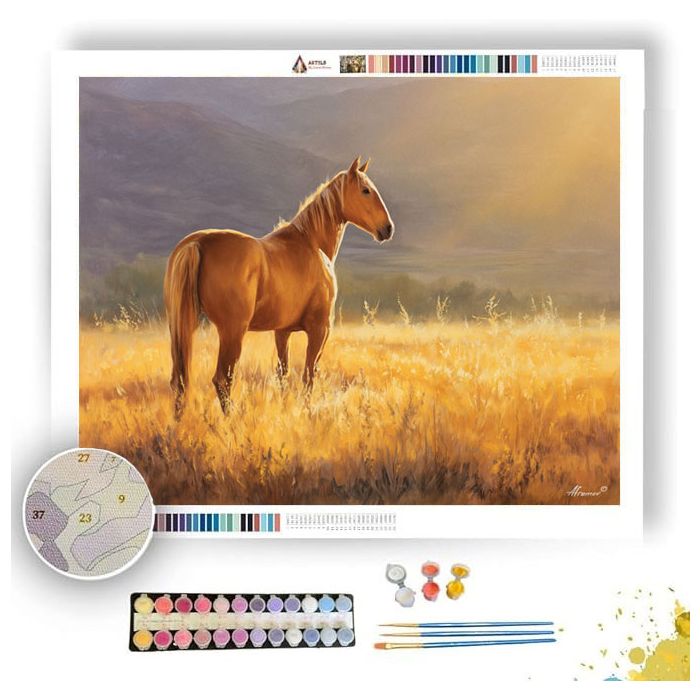 GOLDEN FIELD HORSE - Paint by Numbers Full Kit