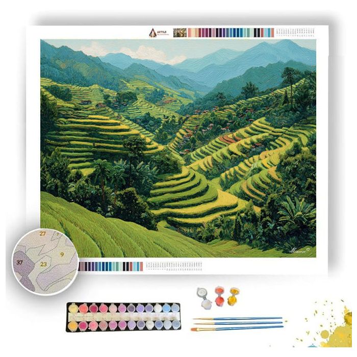 INDONESIAN RICE FIELDS - Paint by Numbers Full Kit