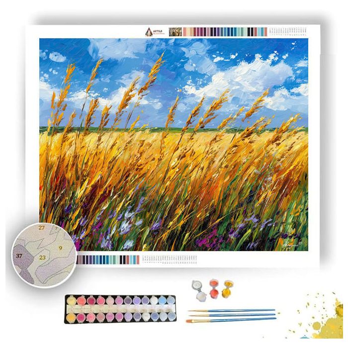 DUTCH SUMMER FIELDS - Paint by Numbers Full Kit