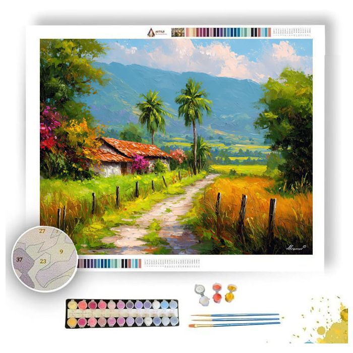 COSTA RICAN FARM ROAD - Paint by Numbers Full Kit