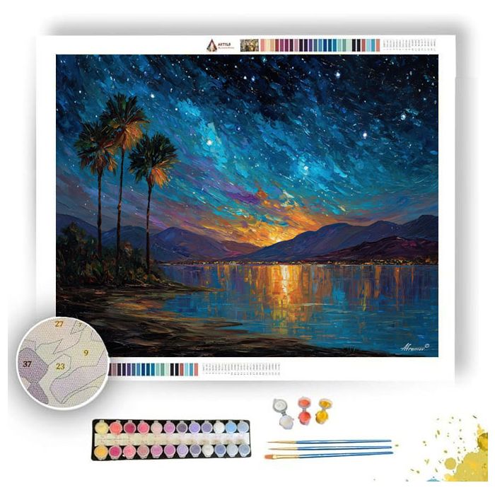 COSTA RICAN NIGHT SKY - Paint by Numbers Full Kit