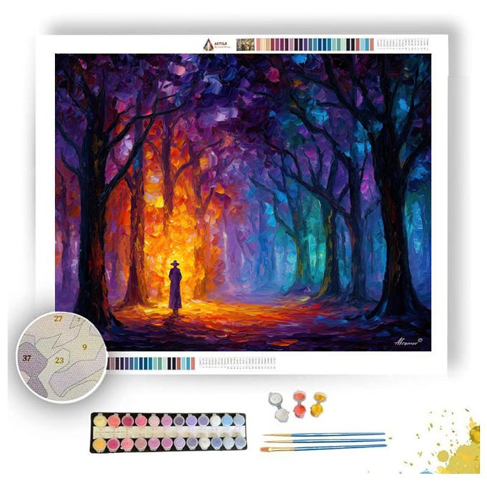 FOREST VEIL DRUID - Paint by Numbers Full Kit