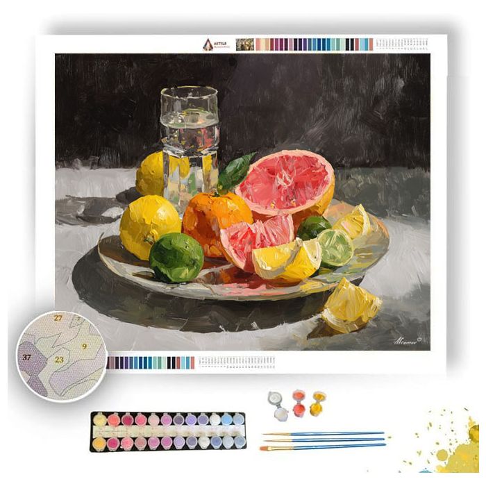FRESH PLATE - Paint by Numbers Full Kit