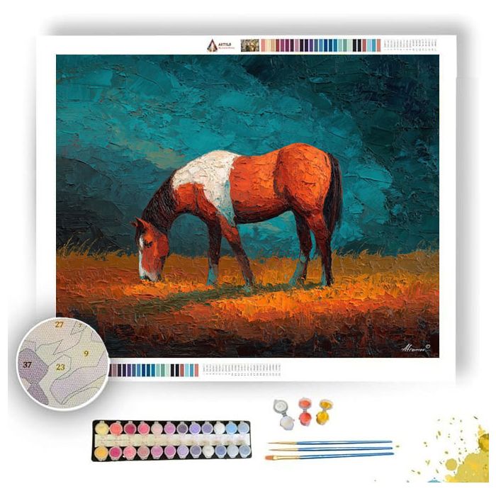 STEADY LINE - Paint by Numbers Full Kit