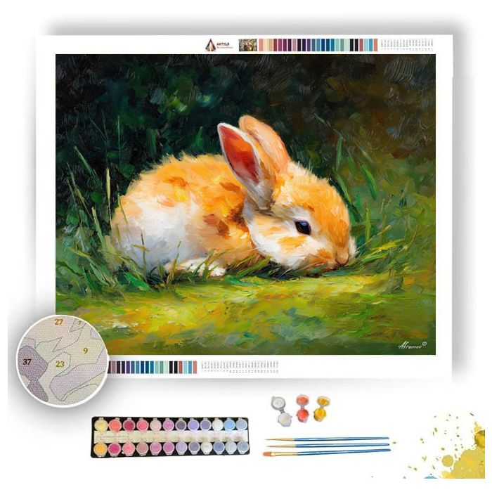 QUIET RABBIT - Paint by Numbers Full Kit