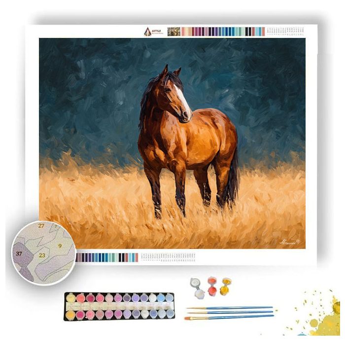 CALM HORSE - Paint by Numbers Full Kit