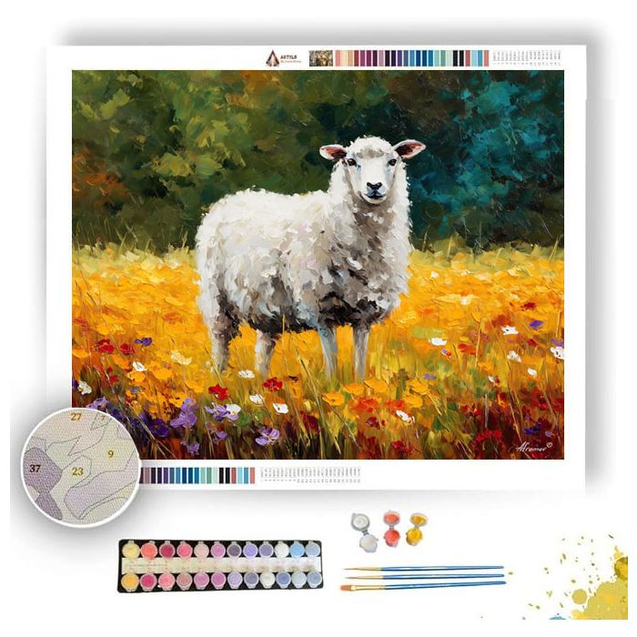 MEADOW SHEEP - Paint by Numbers Full Kit