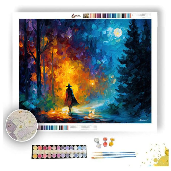 VEILBOUND WANDERER - Paint by Numbers Full Kit