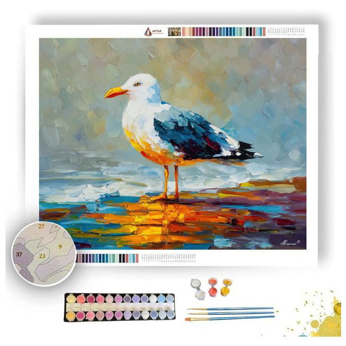 COASTAL SEAGULL - Paint by Numbers Full Kit
