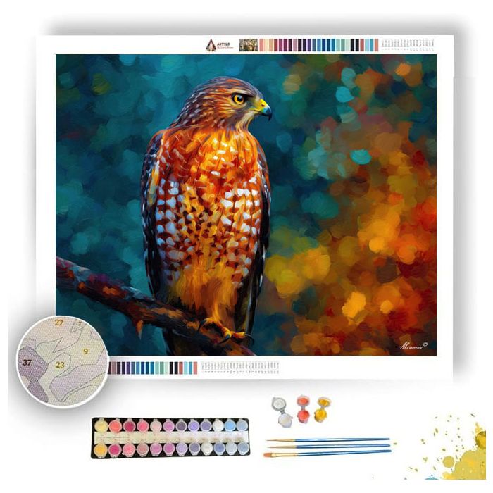 WATCHFUL HAWK - Paint by Numbers Full Kit