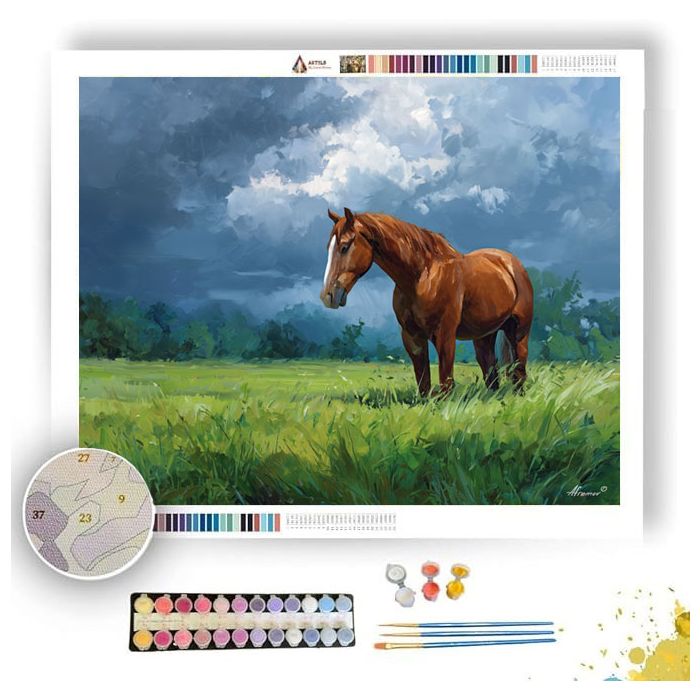 CALM HORSE FIELD - Paint by Numbers Full Kit